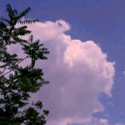 必一体育官方下载入口截图